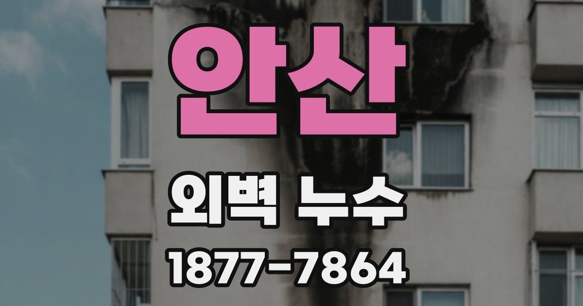 안산 외벽 누수