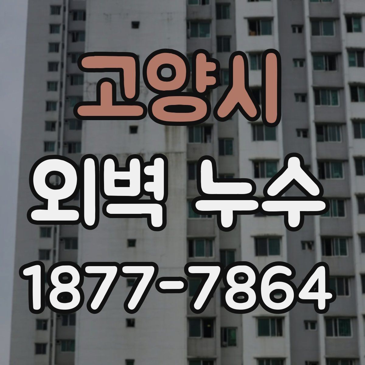 고양시 외벽 누수 원인과 점검 순서