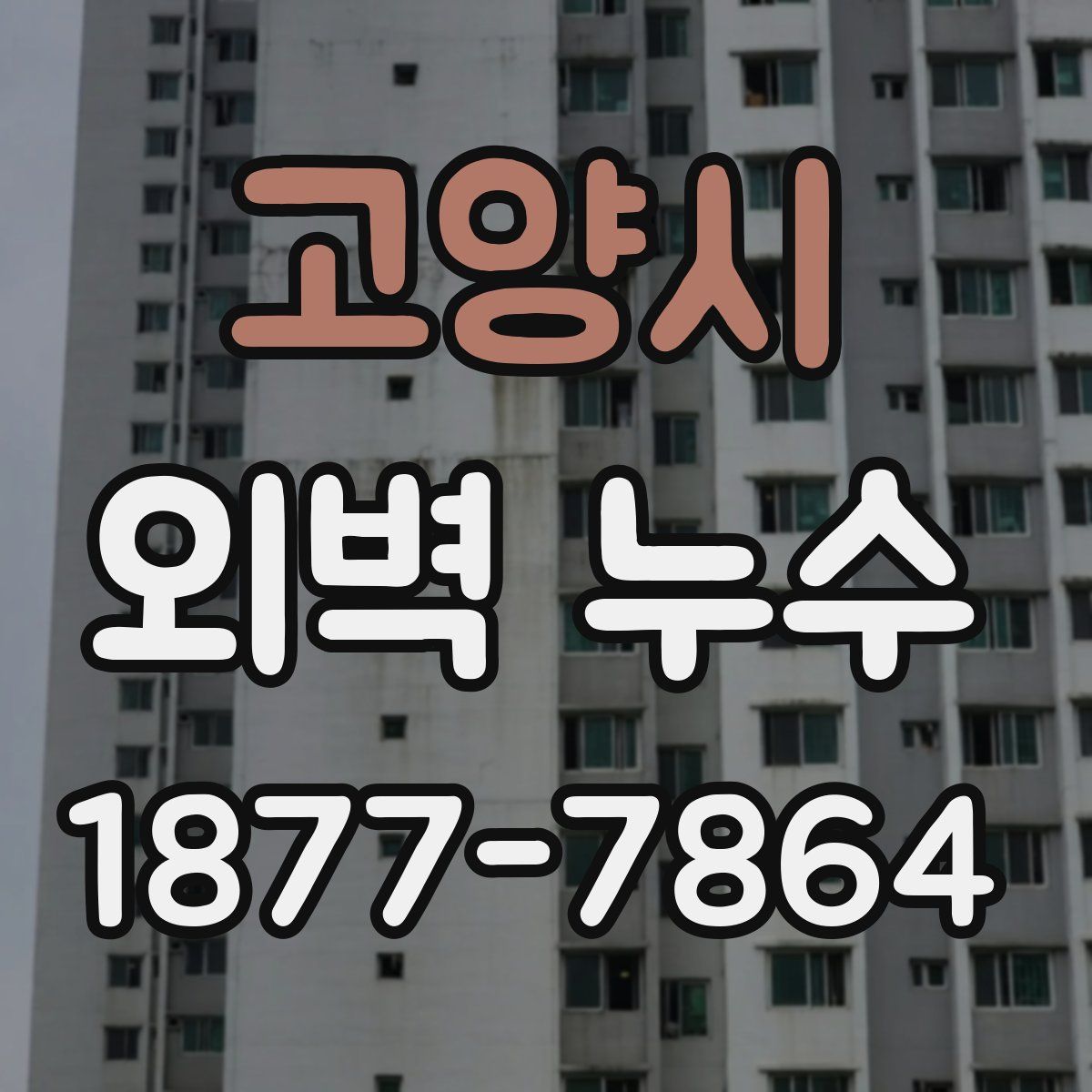 고양시 외벽 누수