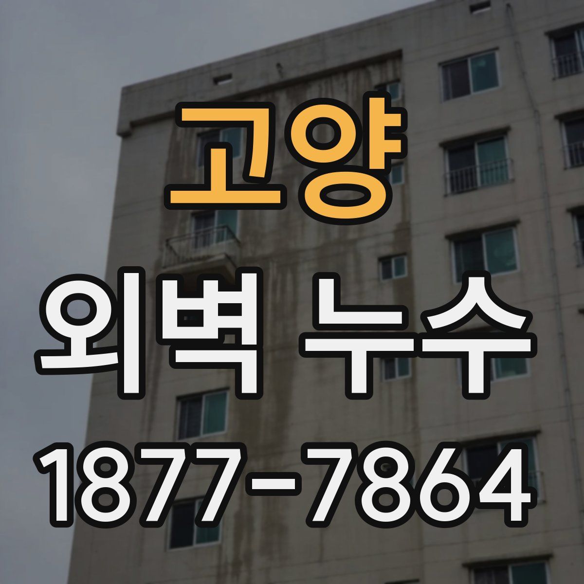 고양 외벽 누수