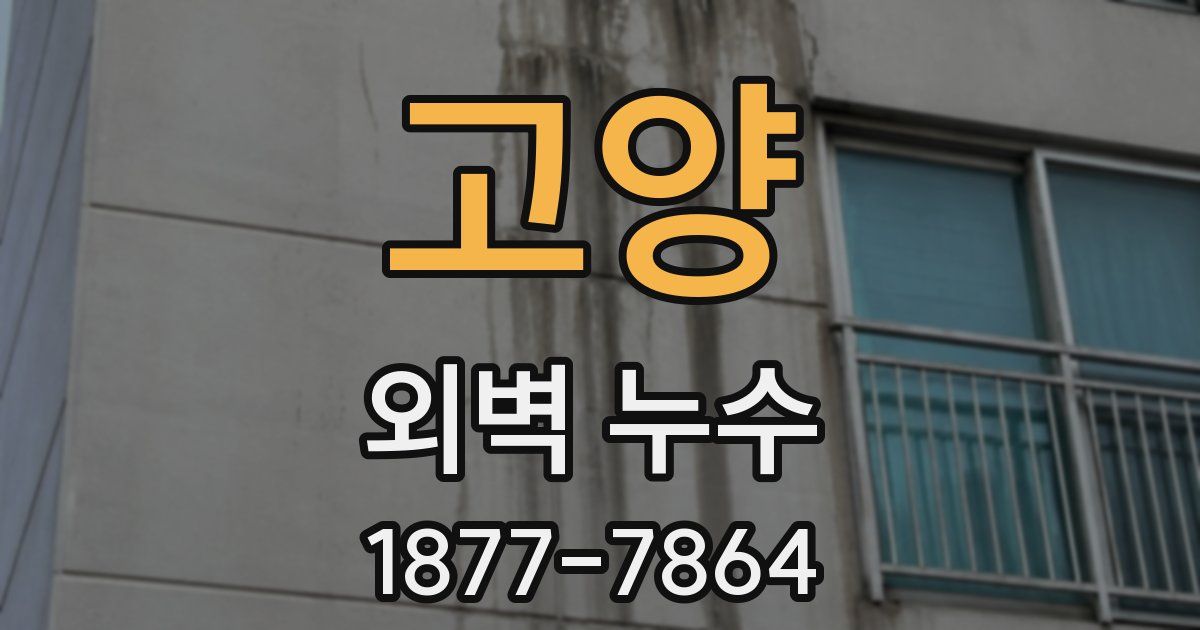 고양 외벽 누수