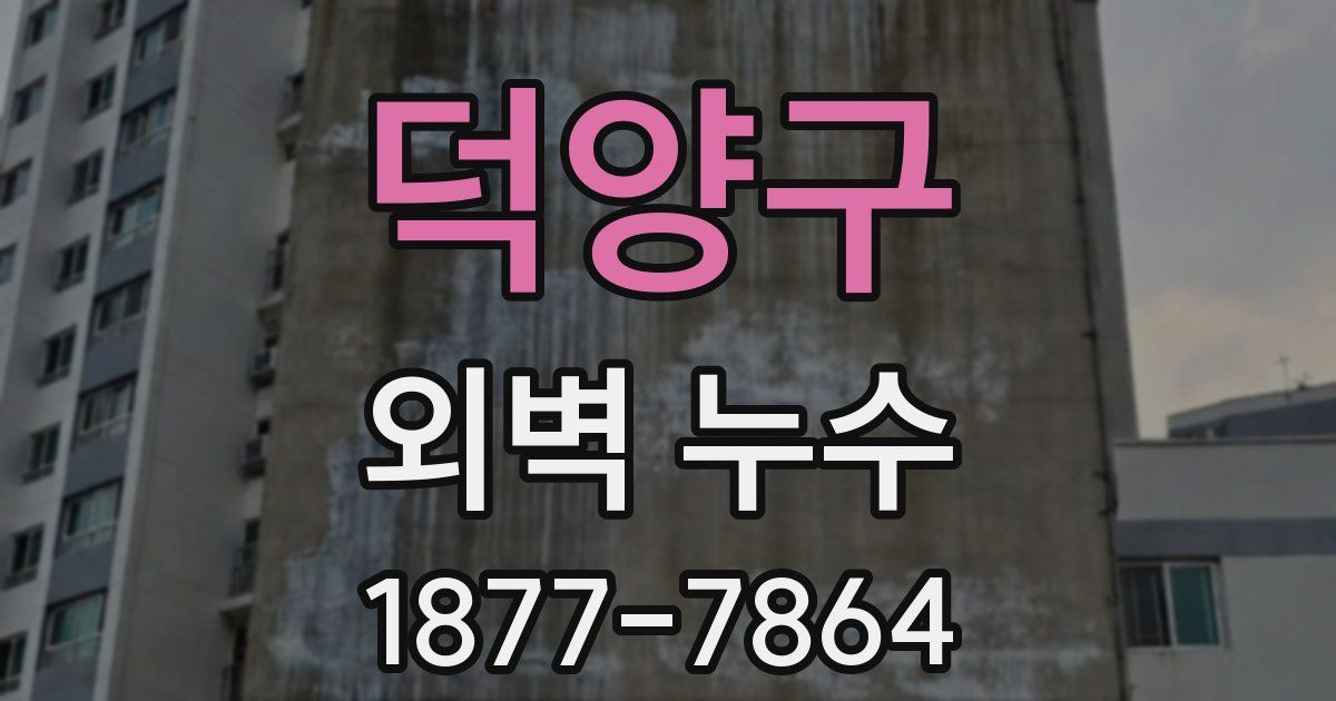 덕양구 외벽 누수