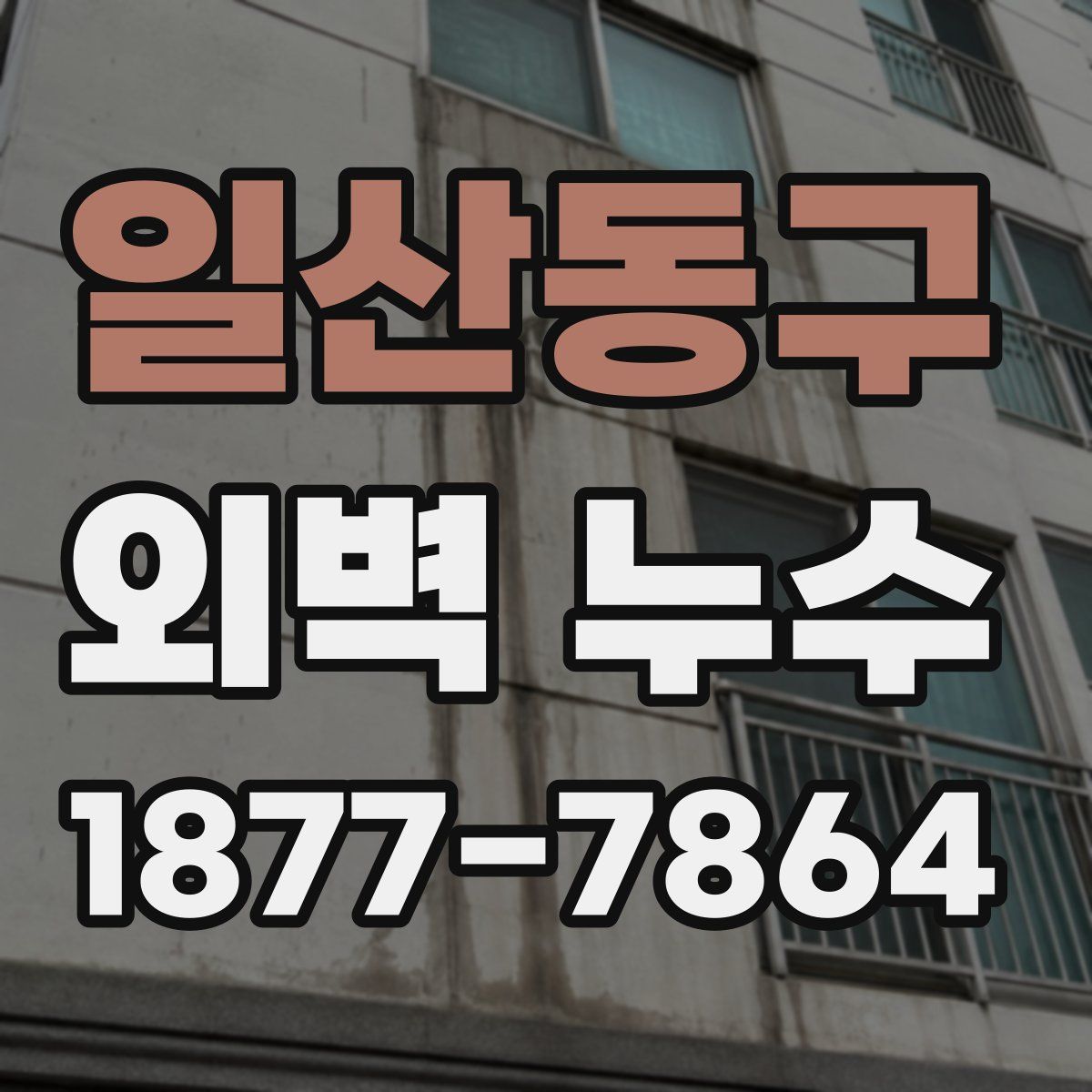 일산동구 외벽 누수