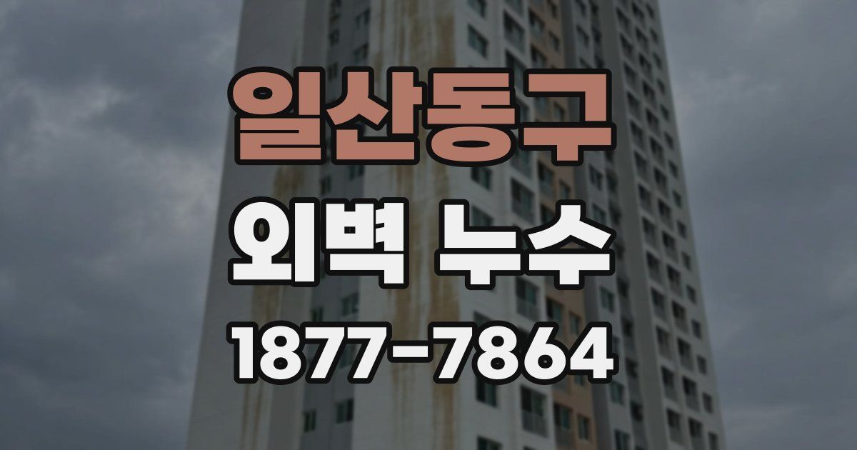 일산동구 외벽 누수