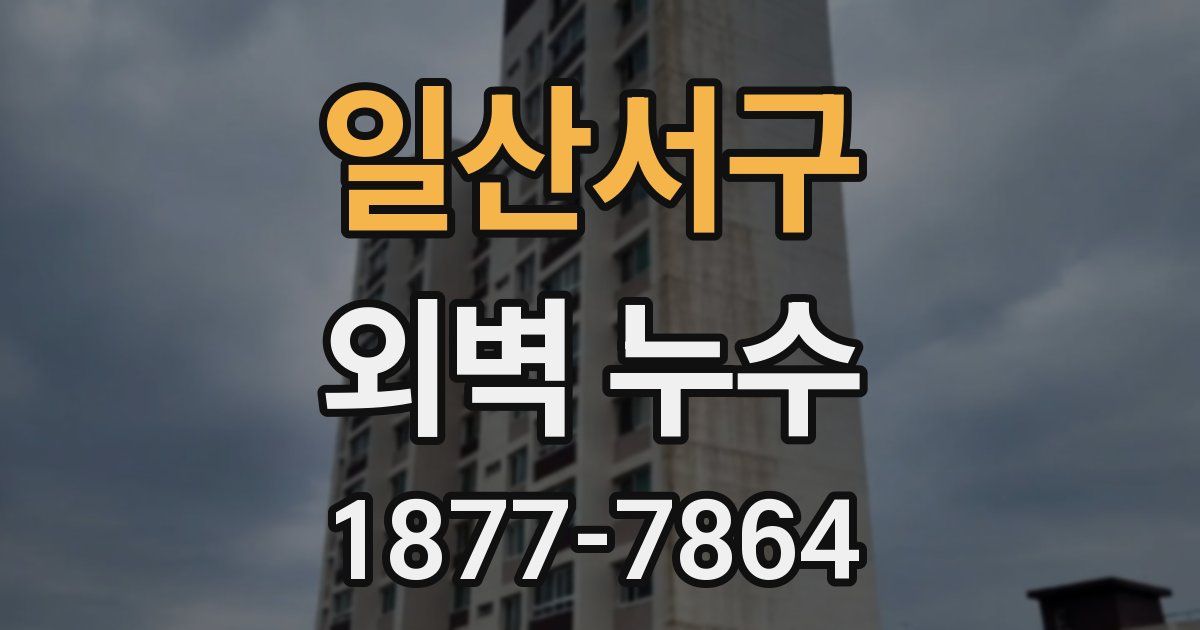 일산서구 외벽 누수