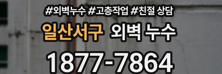 일산서구 외벽 누수