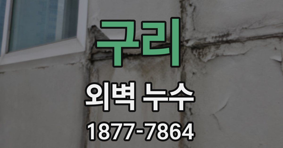 구리 외벽 누수