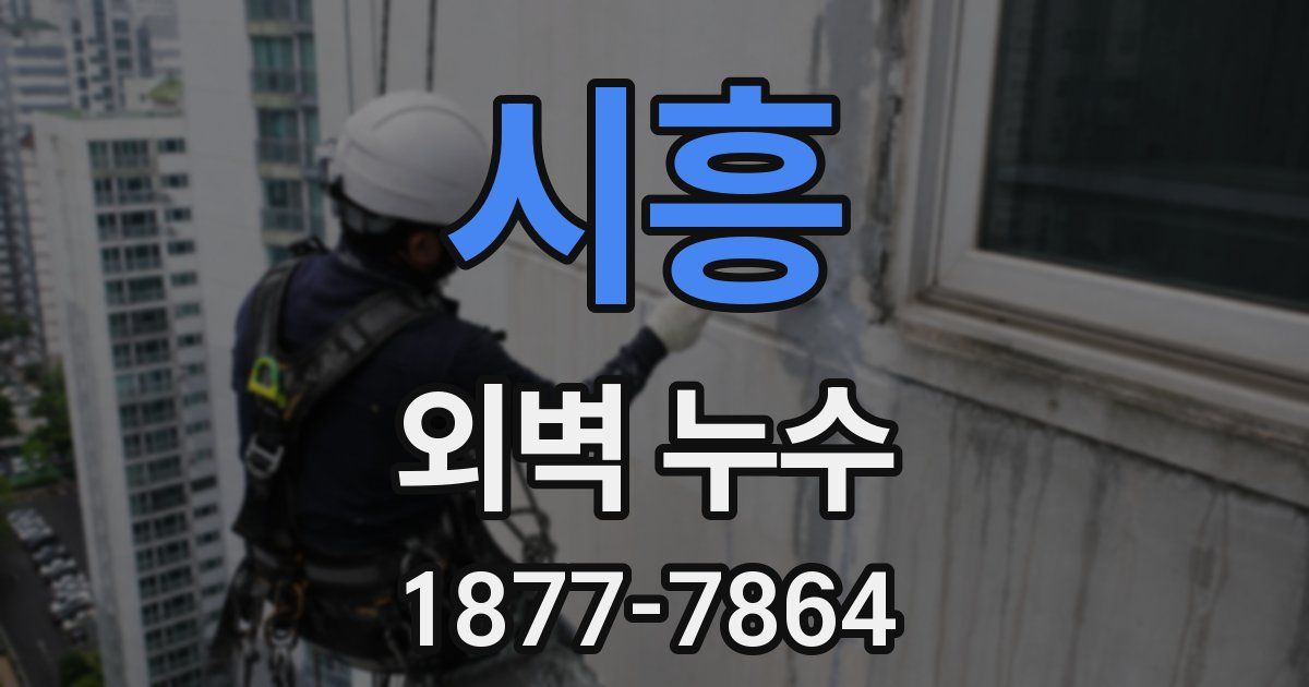 시흥 외벽 누수