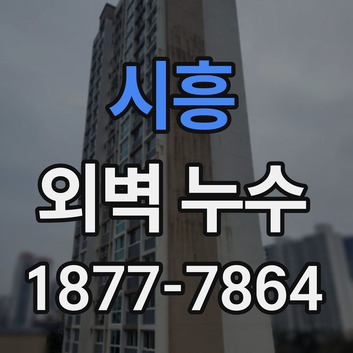 시흥 외벽 누수