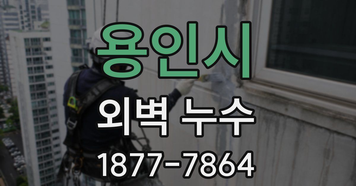용인시 외벽 누수