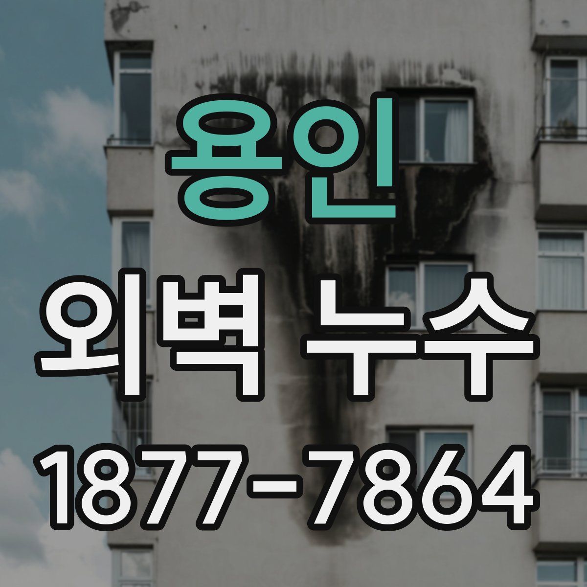 용인 외벽 누수