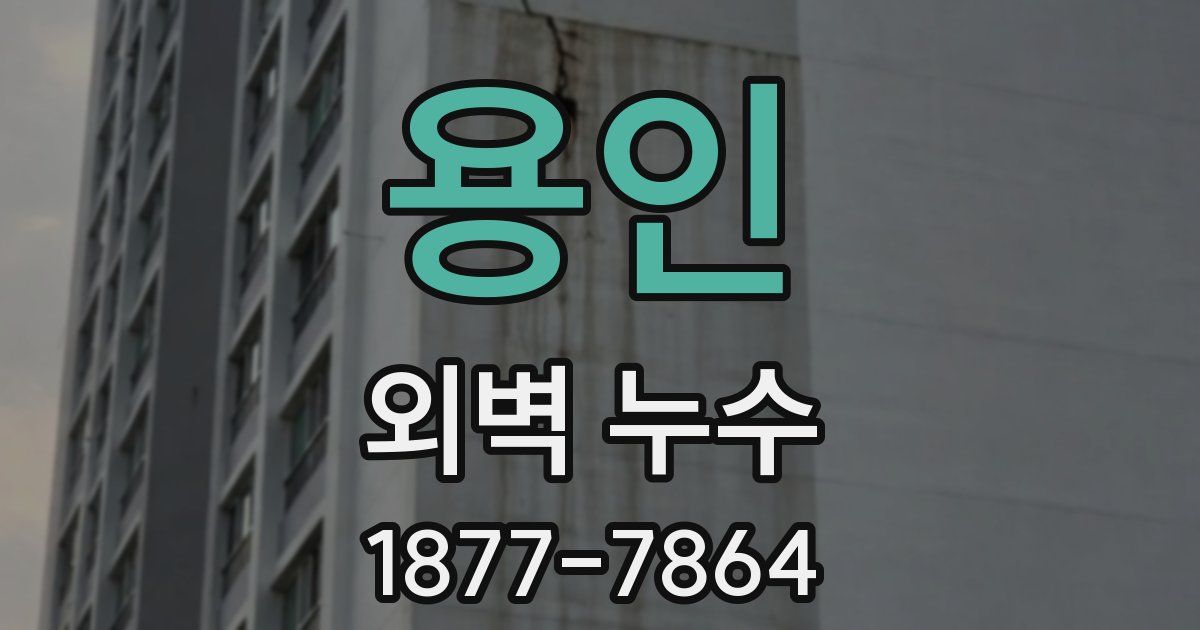 용인 외벽 누수