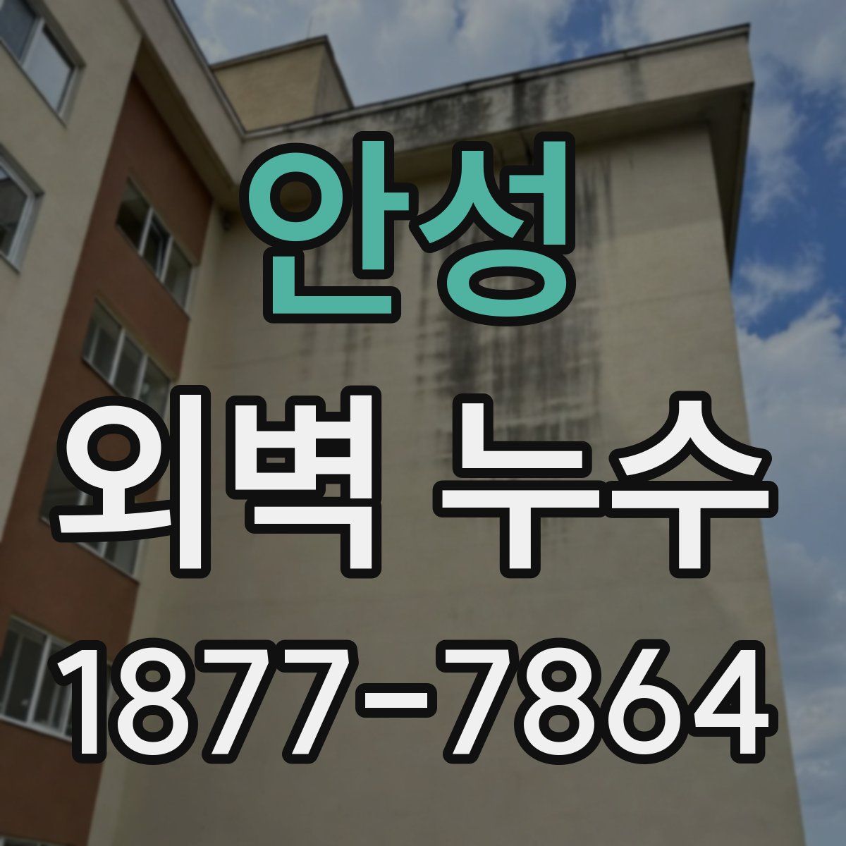 안성 외벽 누수