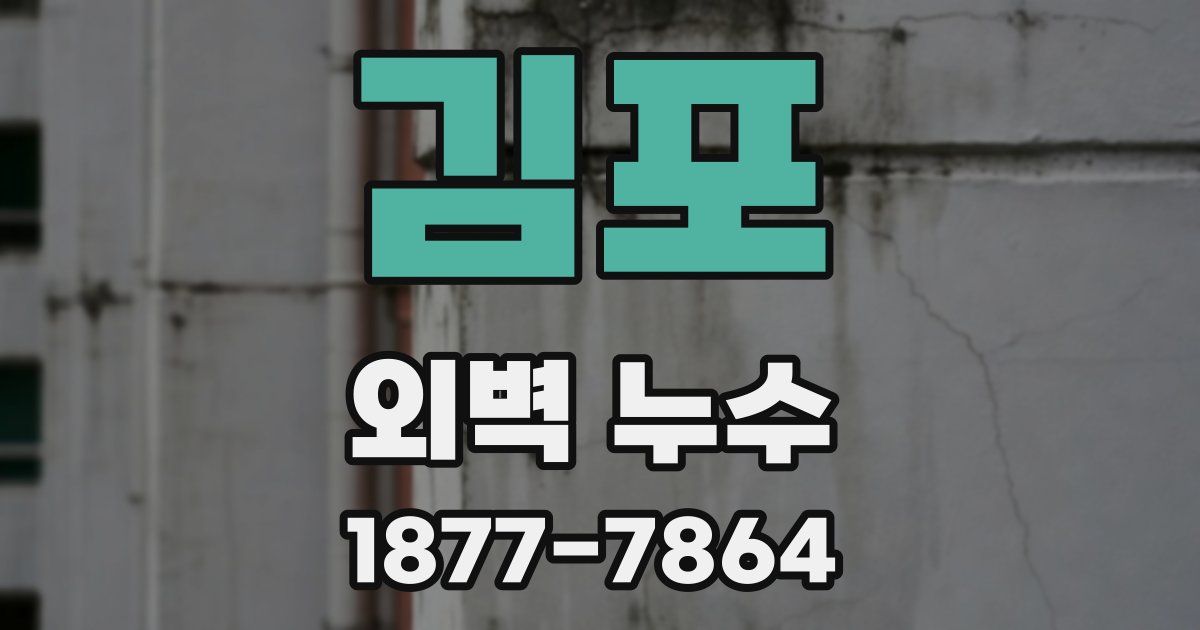 김포 외벽 누수