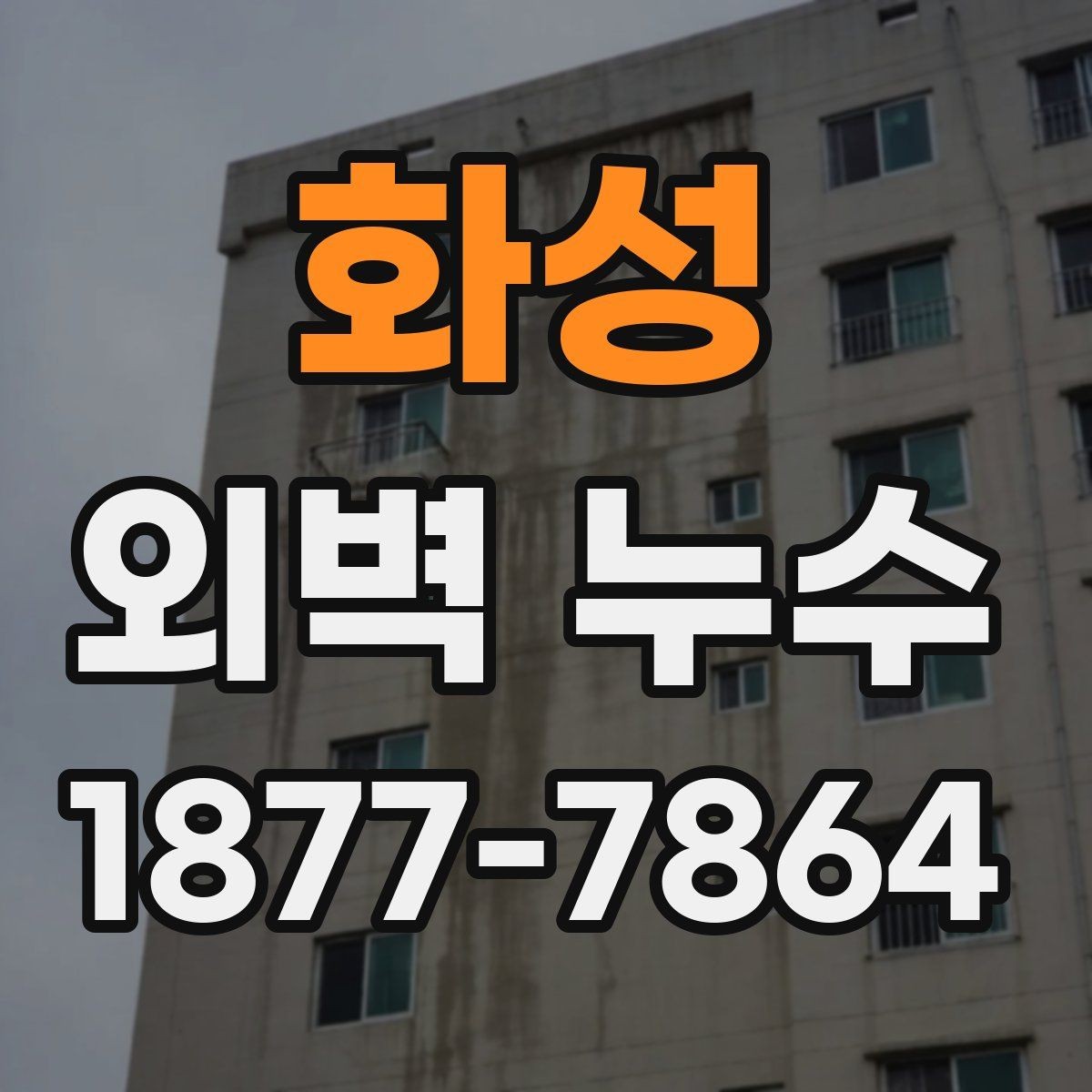 화성 외벽 누수 점검 시 전문가 선택 기준