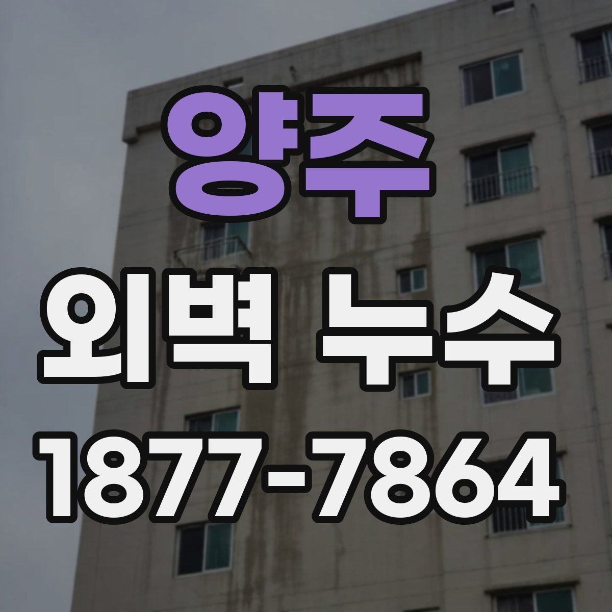양주 외벽 누수 보수 방식 비교와 선택 기준