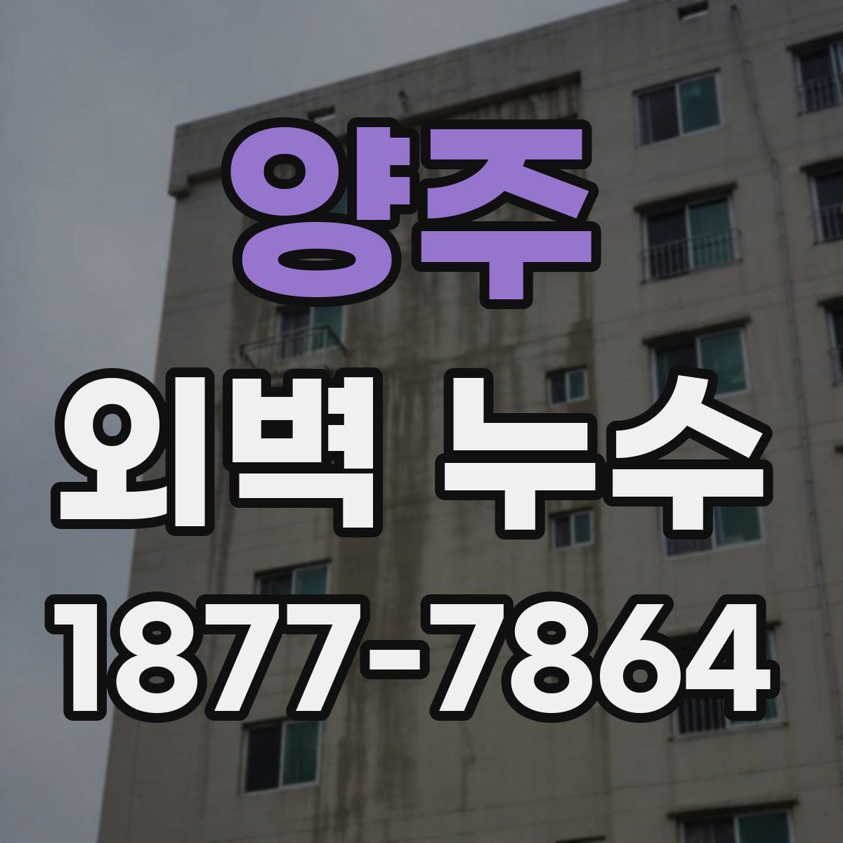 양주 외벽 누수