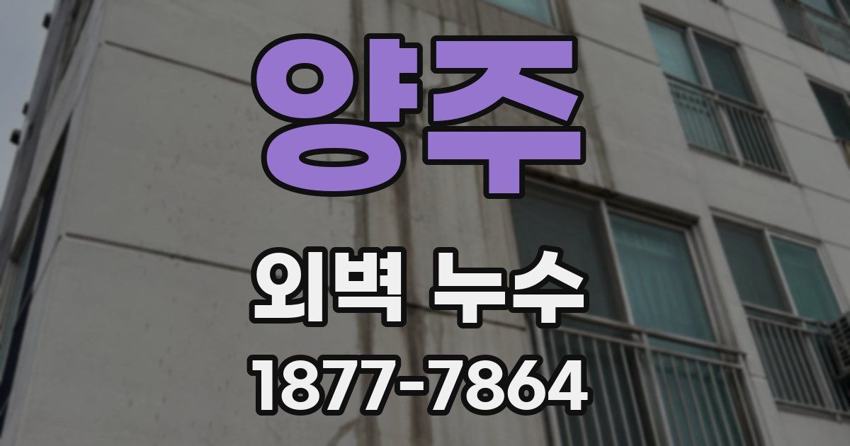 양주 외벽 누수