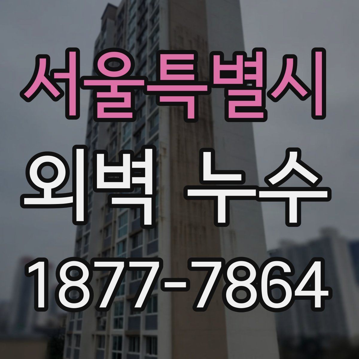 서울특별시 외벽 누수 공사 전 알아야 할 절차