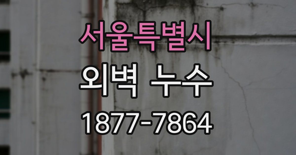 서울특별시 외벽 누수