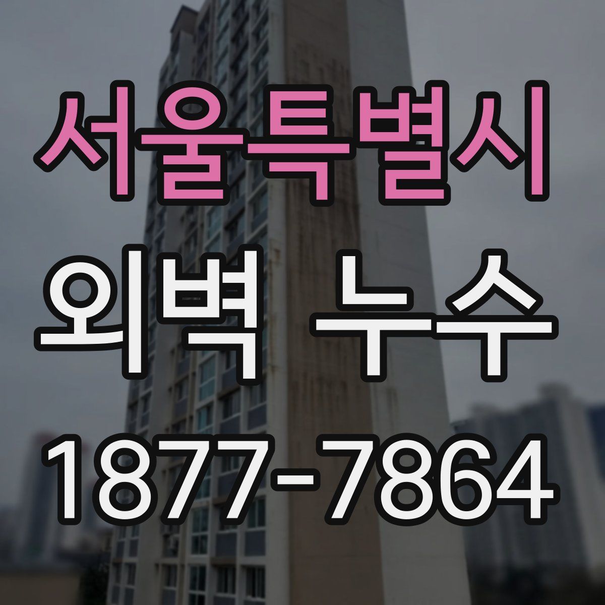 서울특별시 외벽 누수