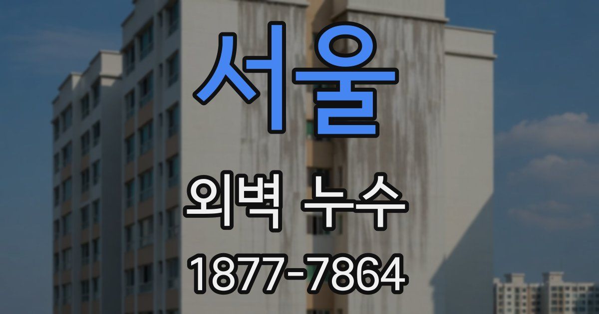 서울 외벽 누수