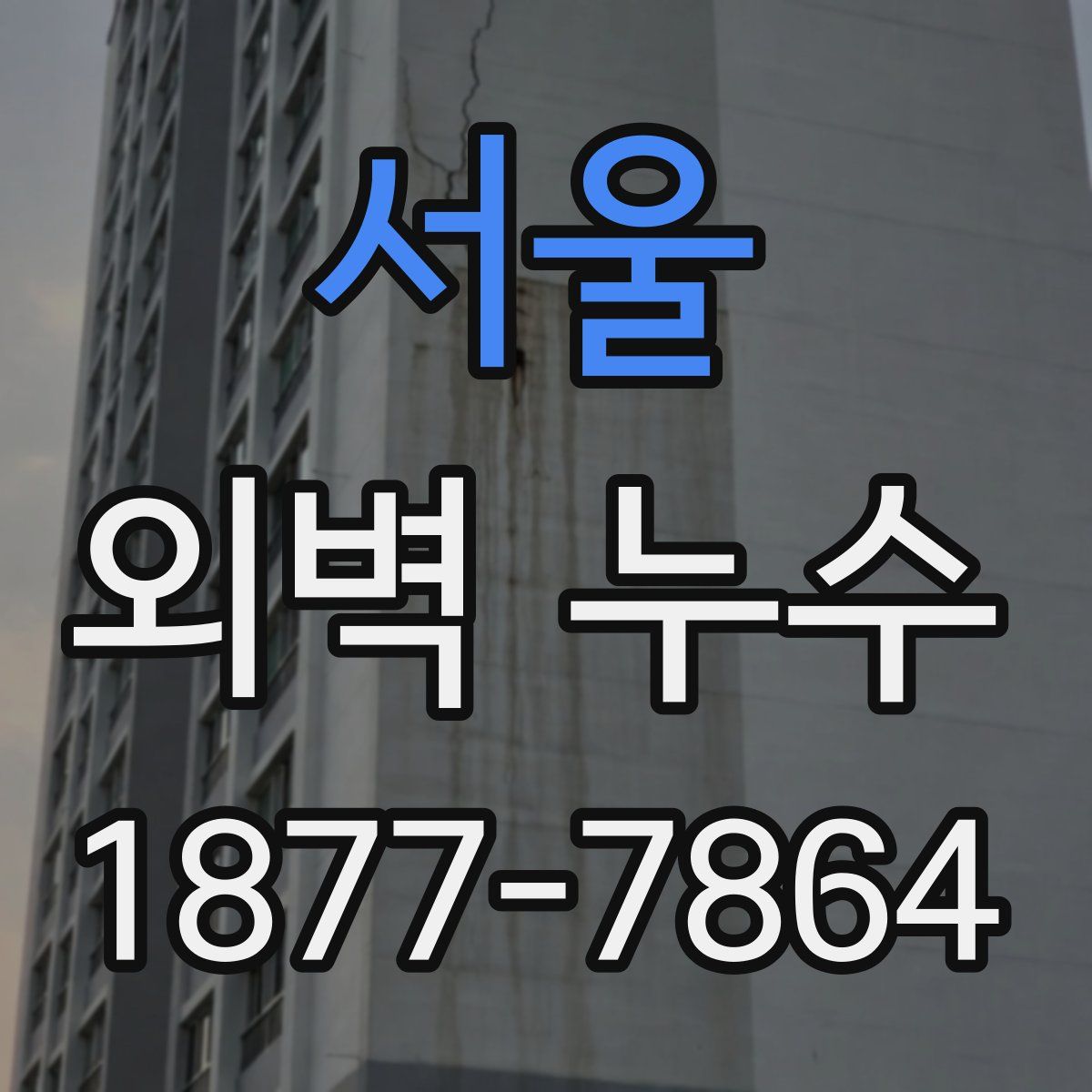 서울 외벽 누수