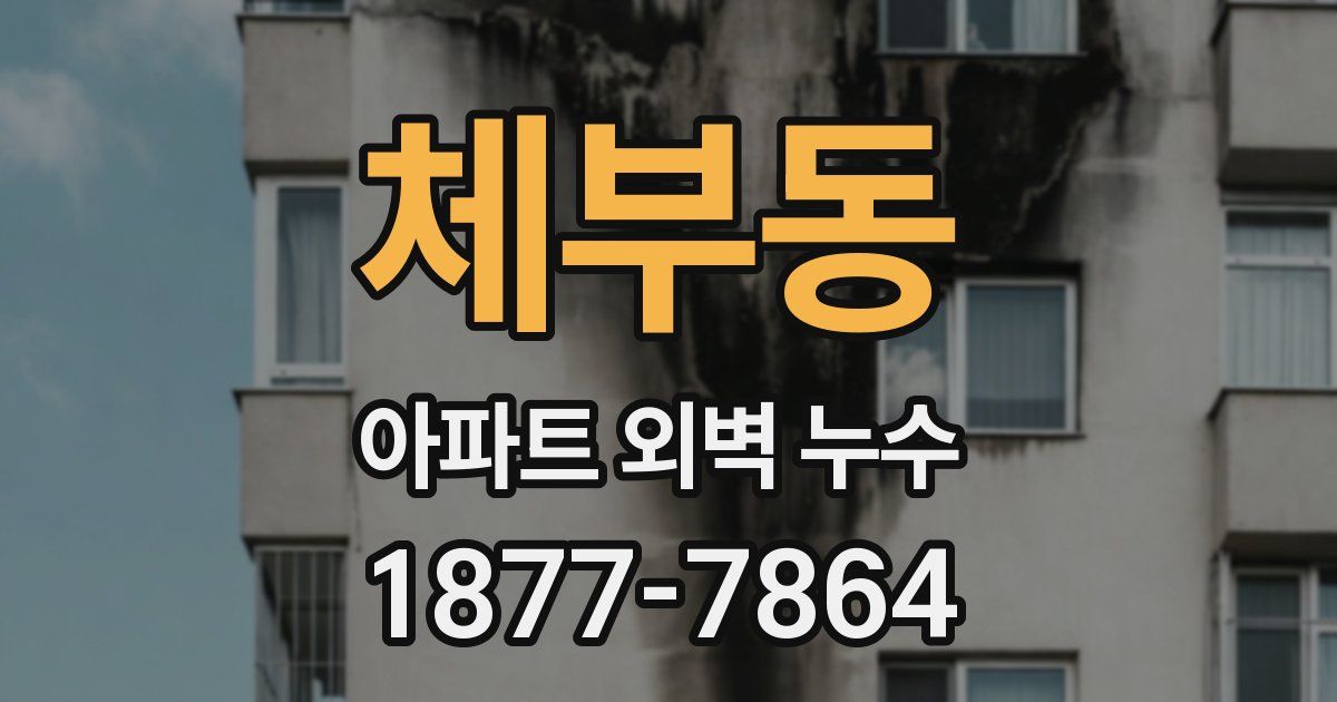 체부동 아파트 외벽 누수