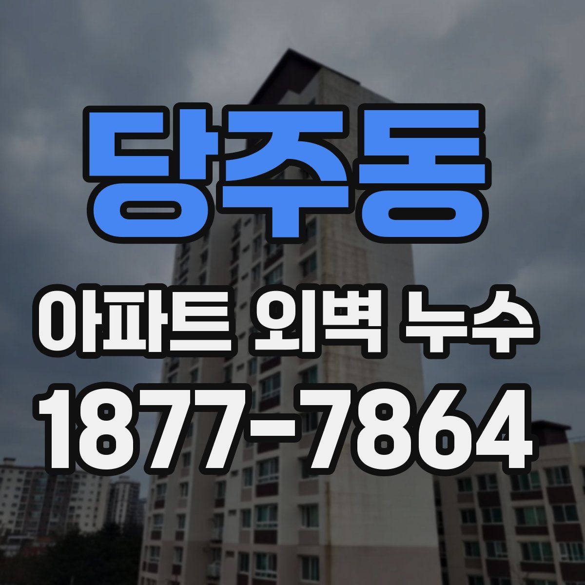 당주동 아파트 외벽 누수