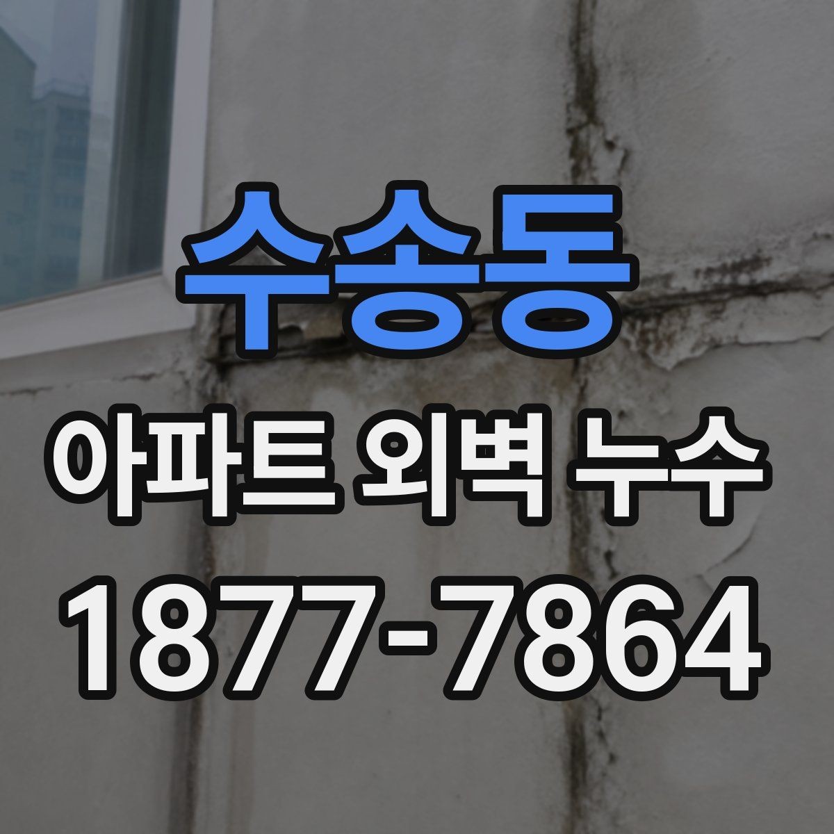 수송동 아파트 외벽 누수 예방을 위한 외부 점검 방법