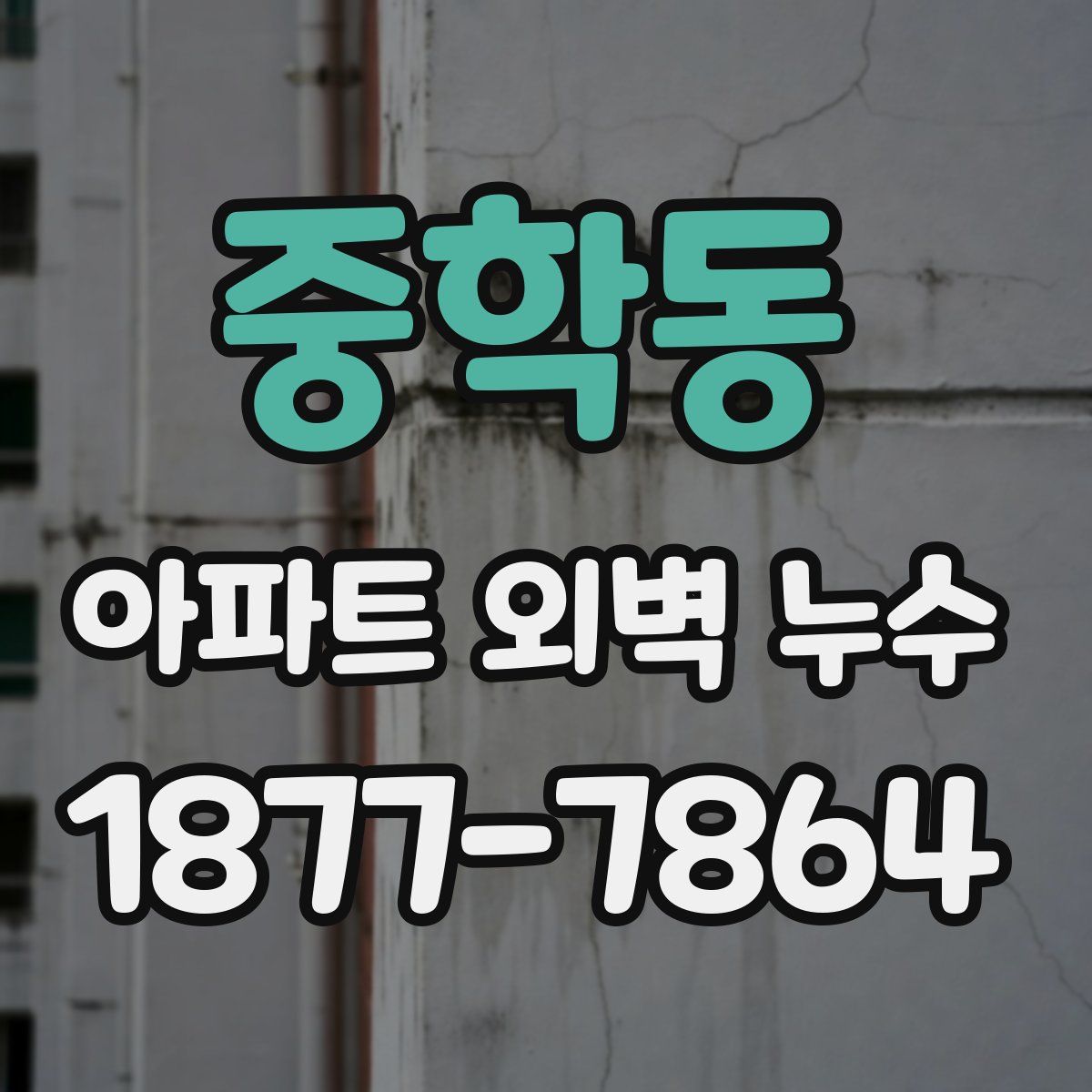 중학동 아파트 외벽 누수
