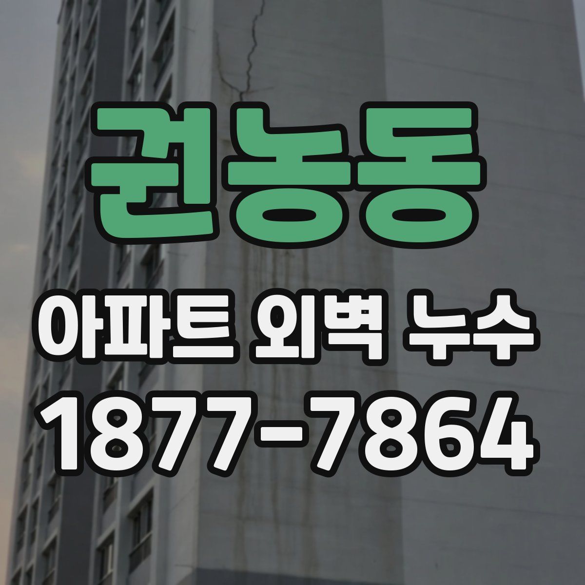 권농동 아파트 외벽 누수