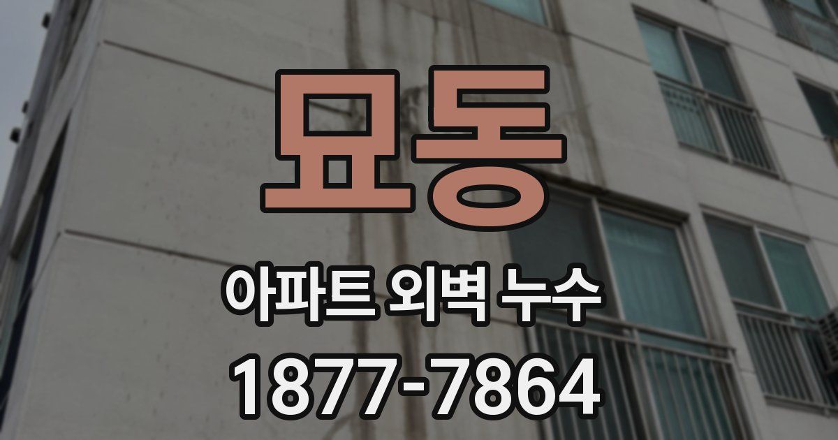 묘동 아파트 외벽 누수