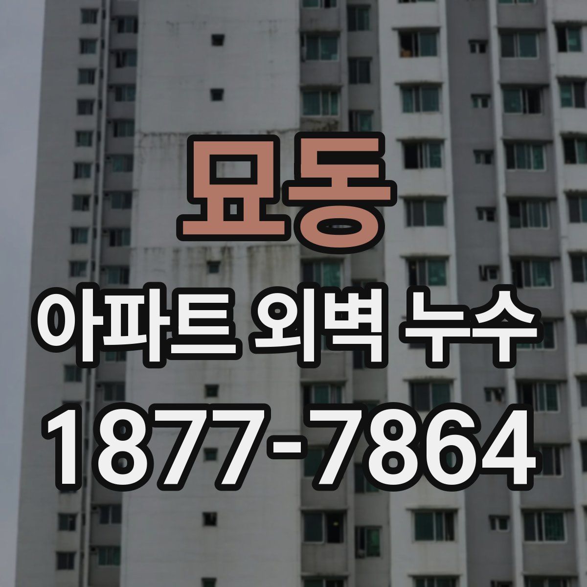 묘동 아파트 외벽 누수