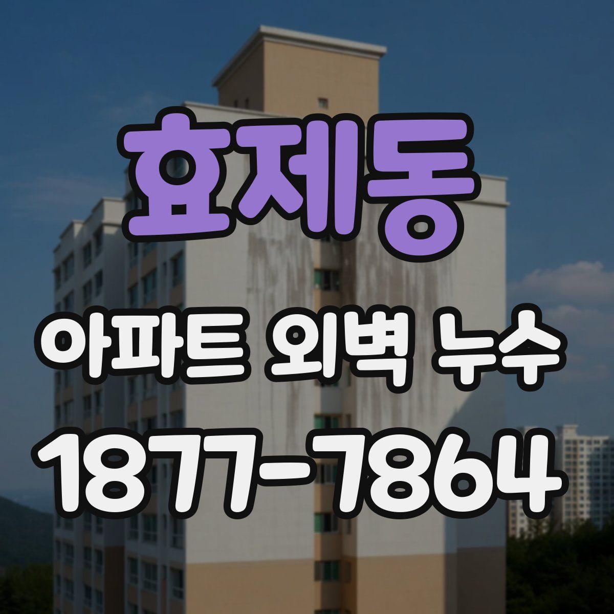 효제동 아파트 외벽 누수