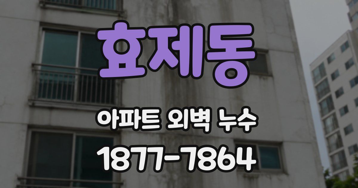 효제동 아파트 외벽 누수