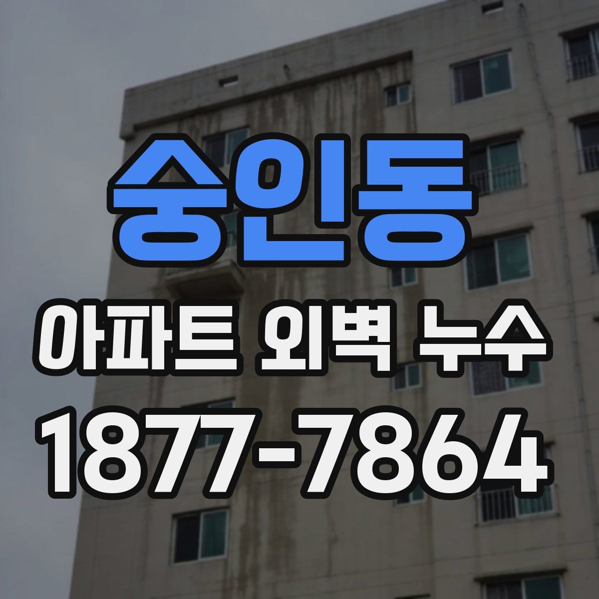 숭인동 아파트 외벽 누수