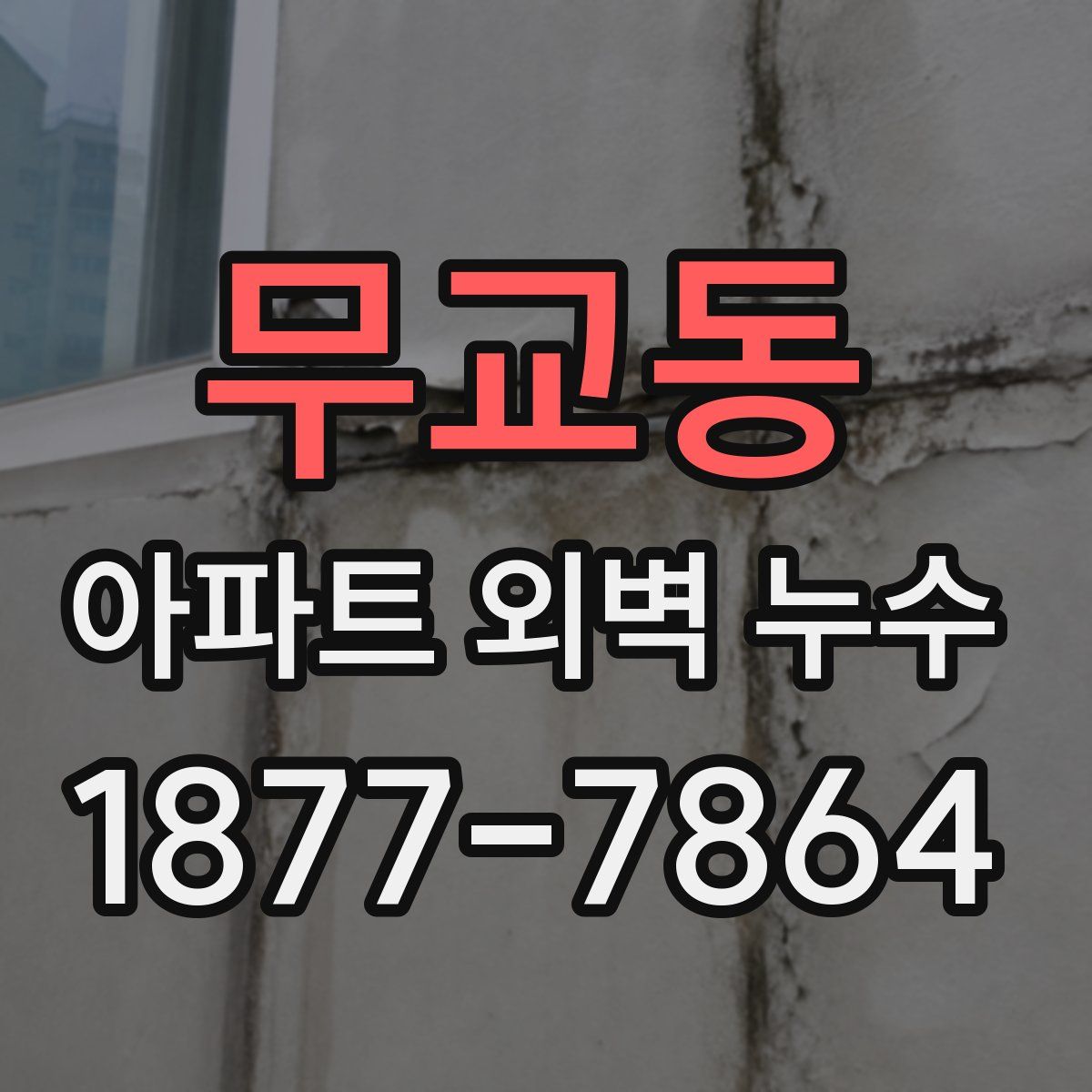 무교동 아파트 외벽 누수