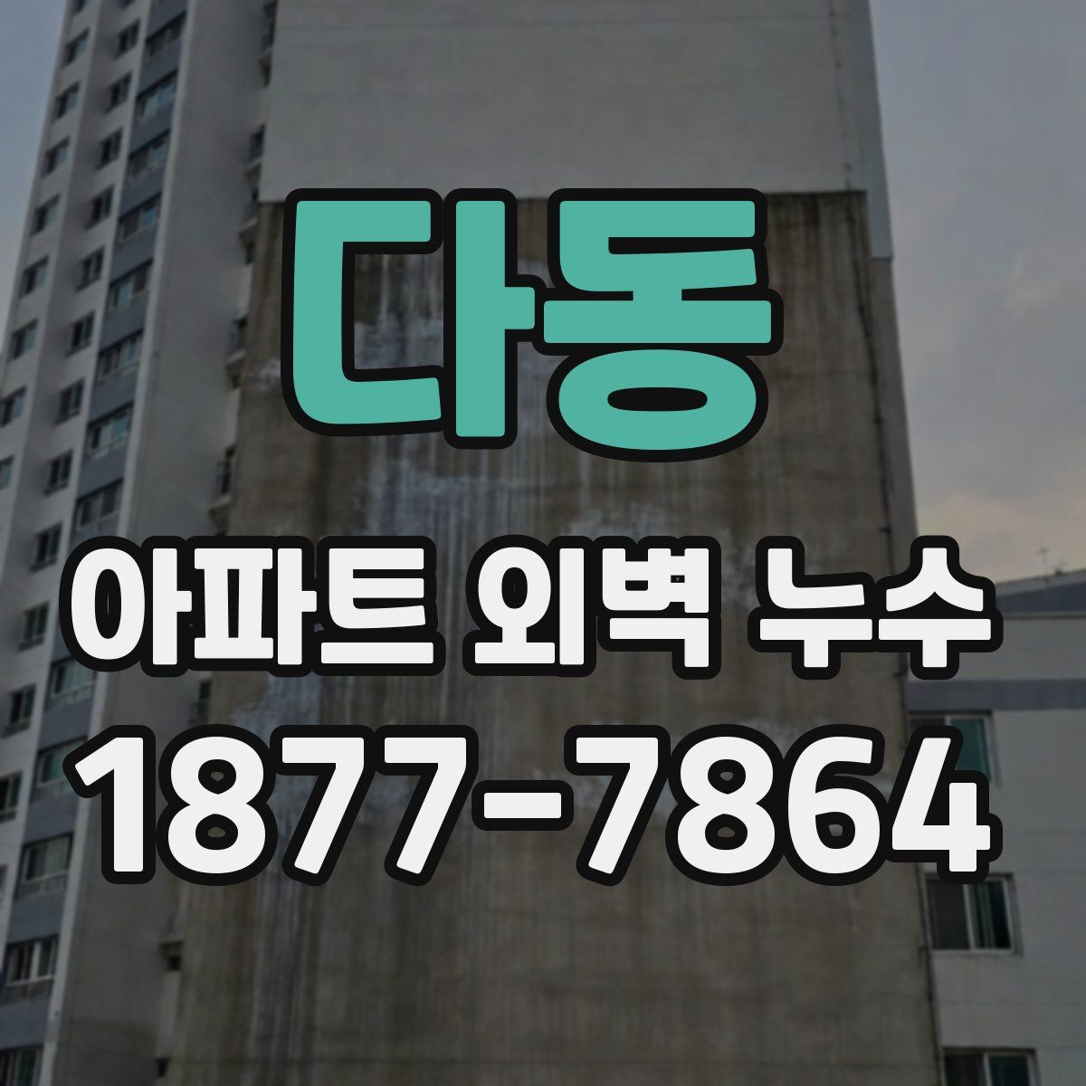 다동 아파트 외벽 누수