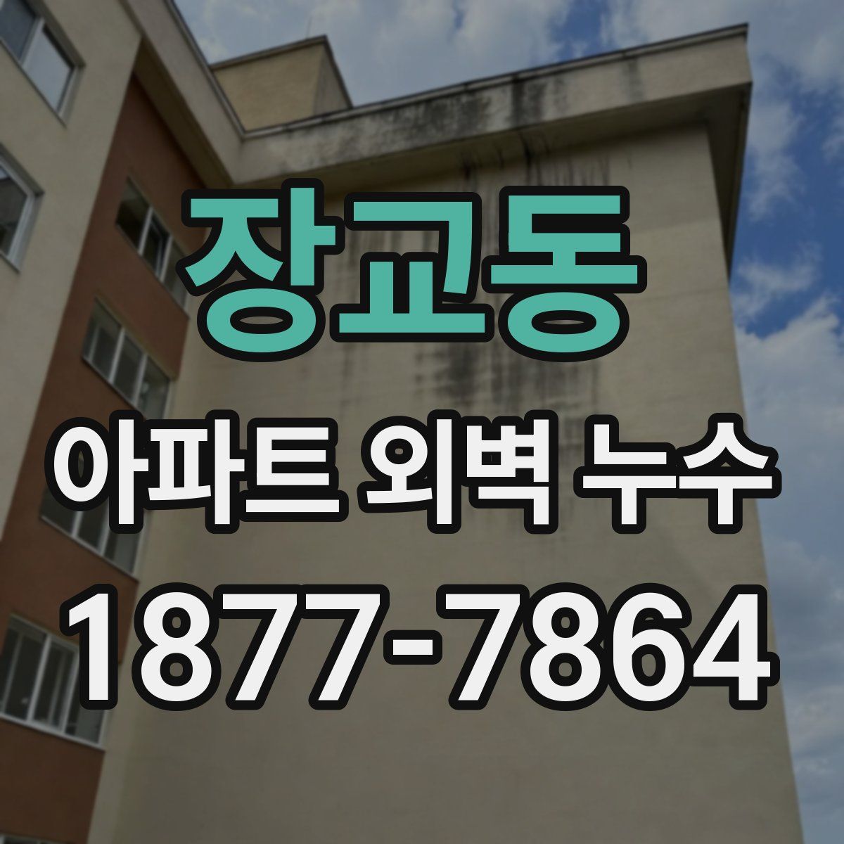 장교동 아파트 외벽 누수
