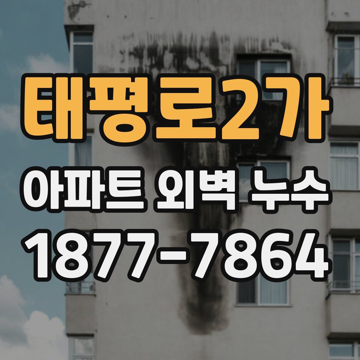 태평로2가 아파트 외벽 누수