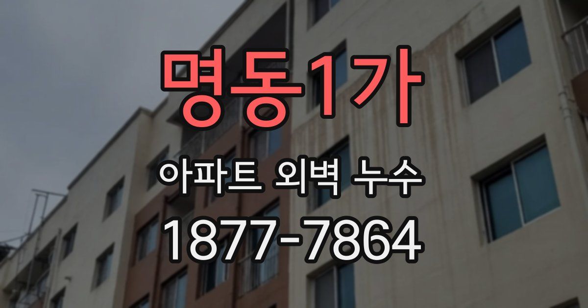 명동1가 아파트 외벽 누수