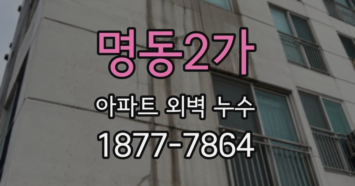 명동2가 아파트 외벽 누수
