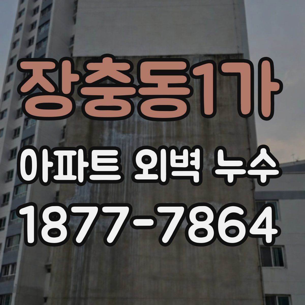 장충동1가 아파트 외벽 누수