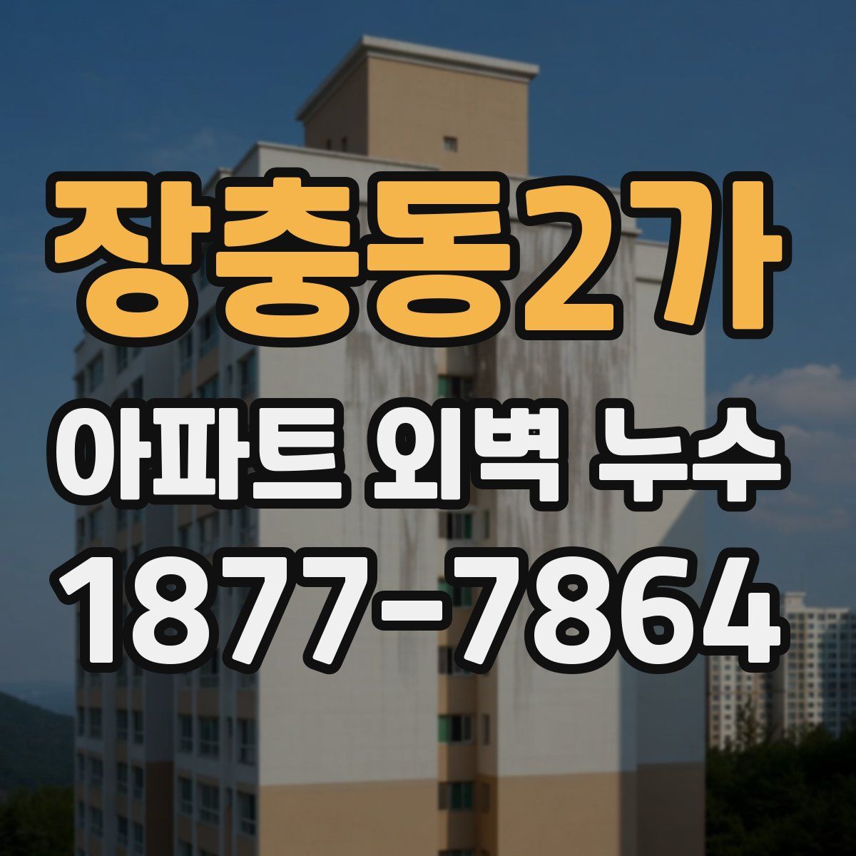 장충동2가 아파트 외벽 누수