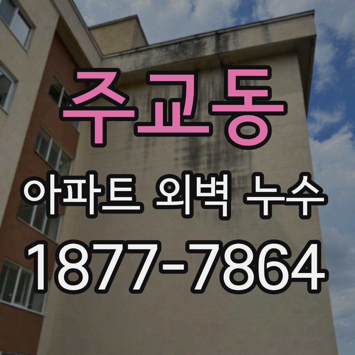 주교동 아파트 외벽 누수