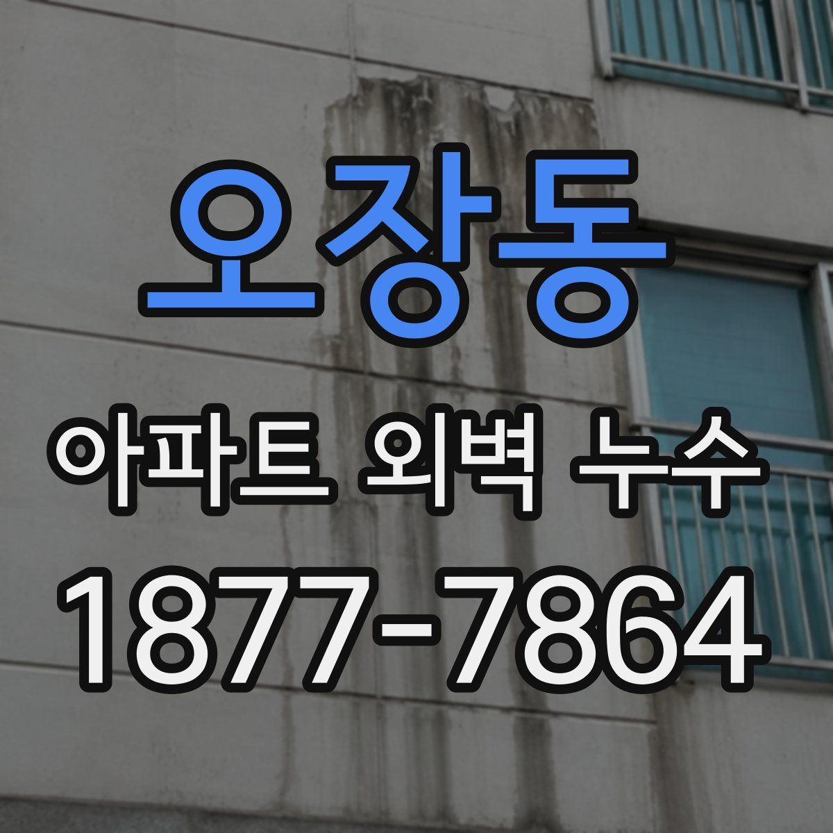 오장동 아파트 외벽 누수