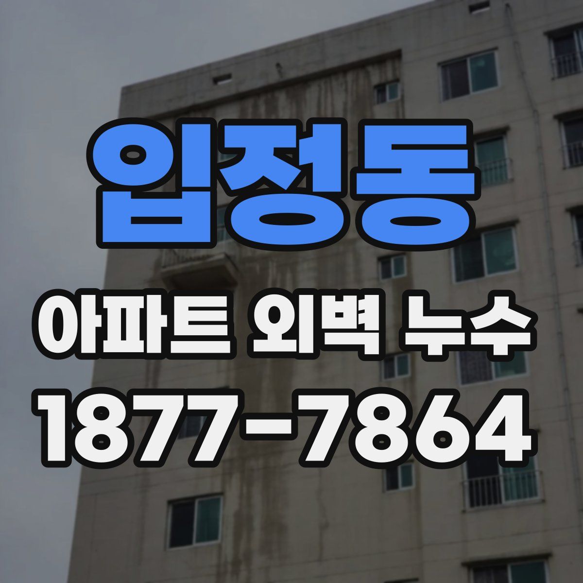 입정동 아파트 외벽 누수