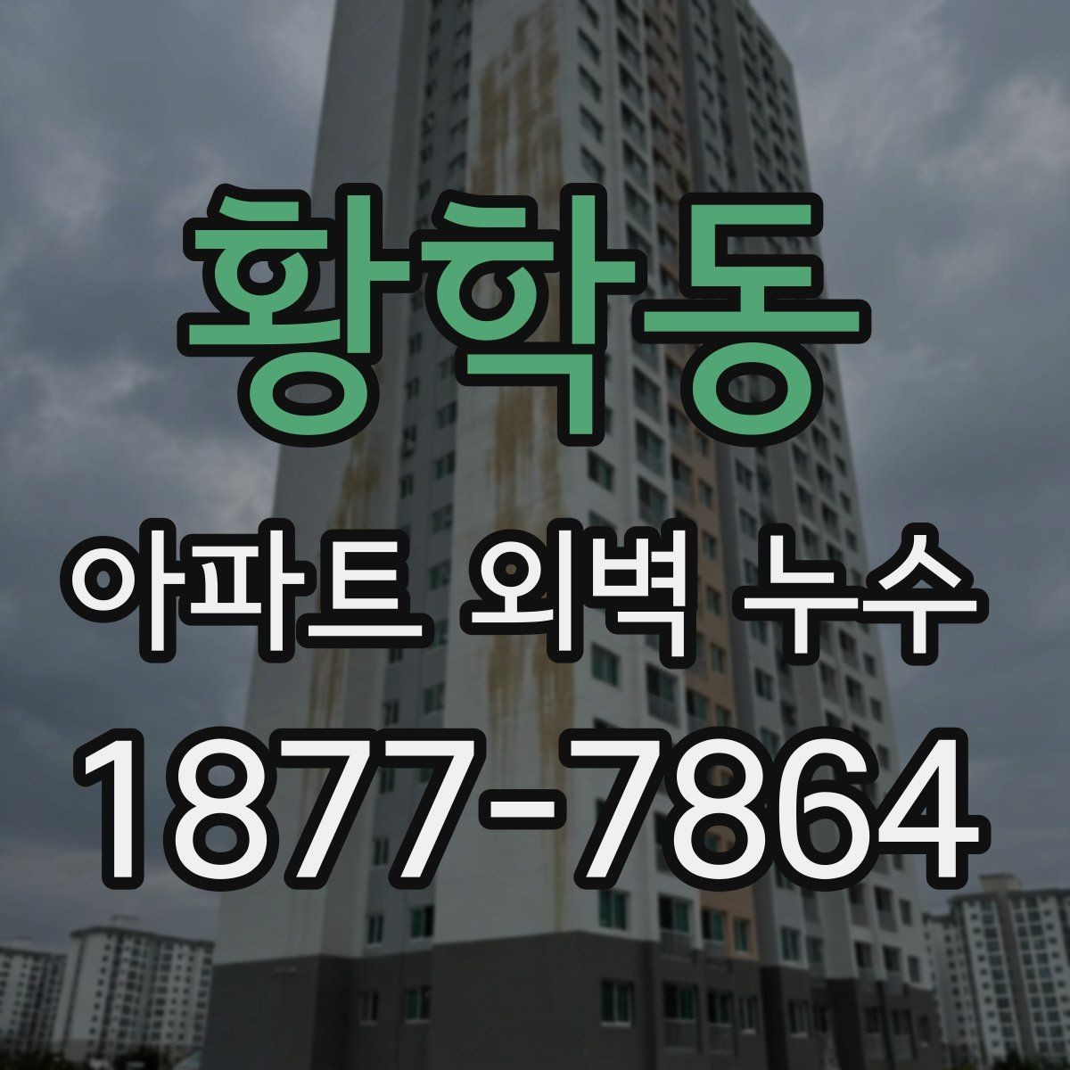 황학동 아파트 외벽 누수 외벽 균열의 흔적과의 관련성