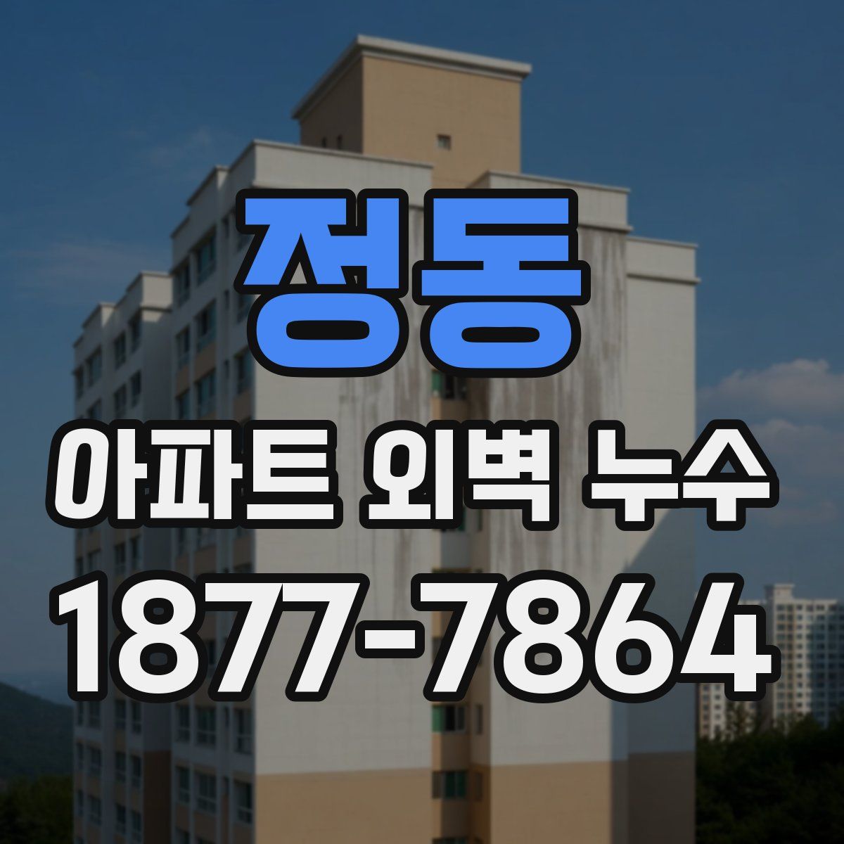 정동 아파트 외벽 누수
